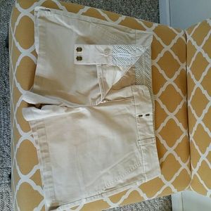 Ann Taylor loft shorts